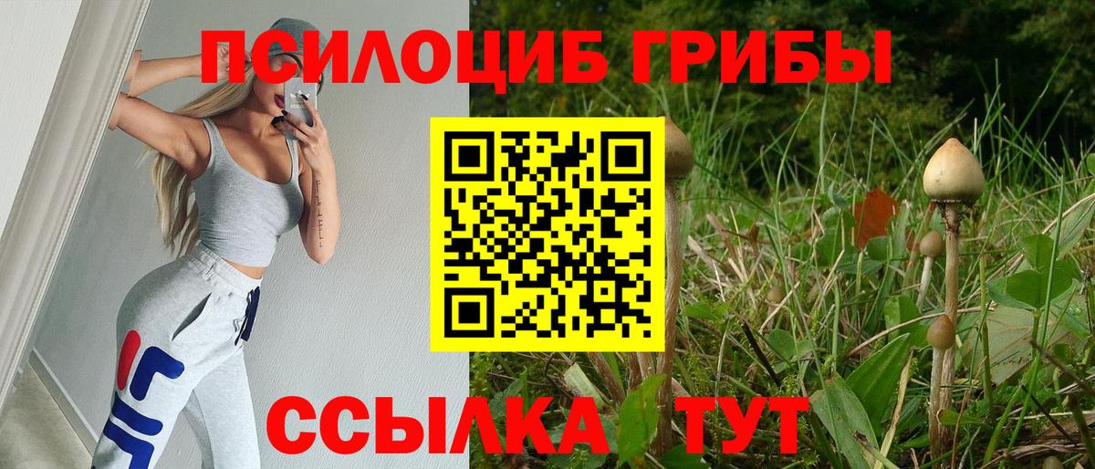 Галлюциногенные грибы прущие грибы Дивногорск